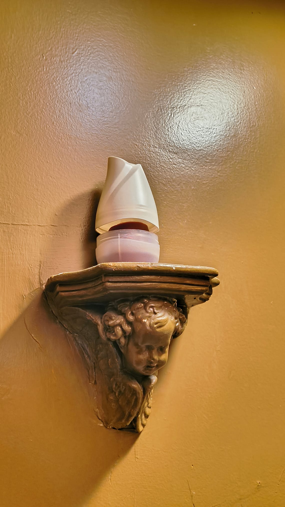 (motorola razr 2025, f/1.7, 1/20s, 4.68 mm, ISO8173)